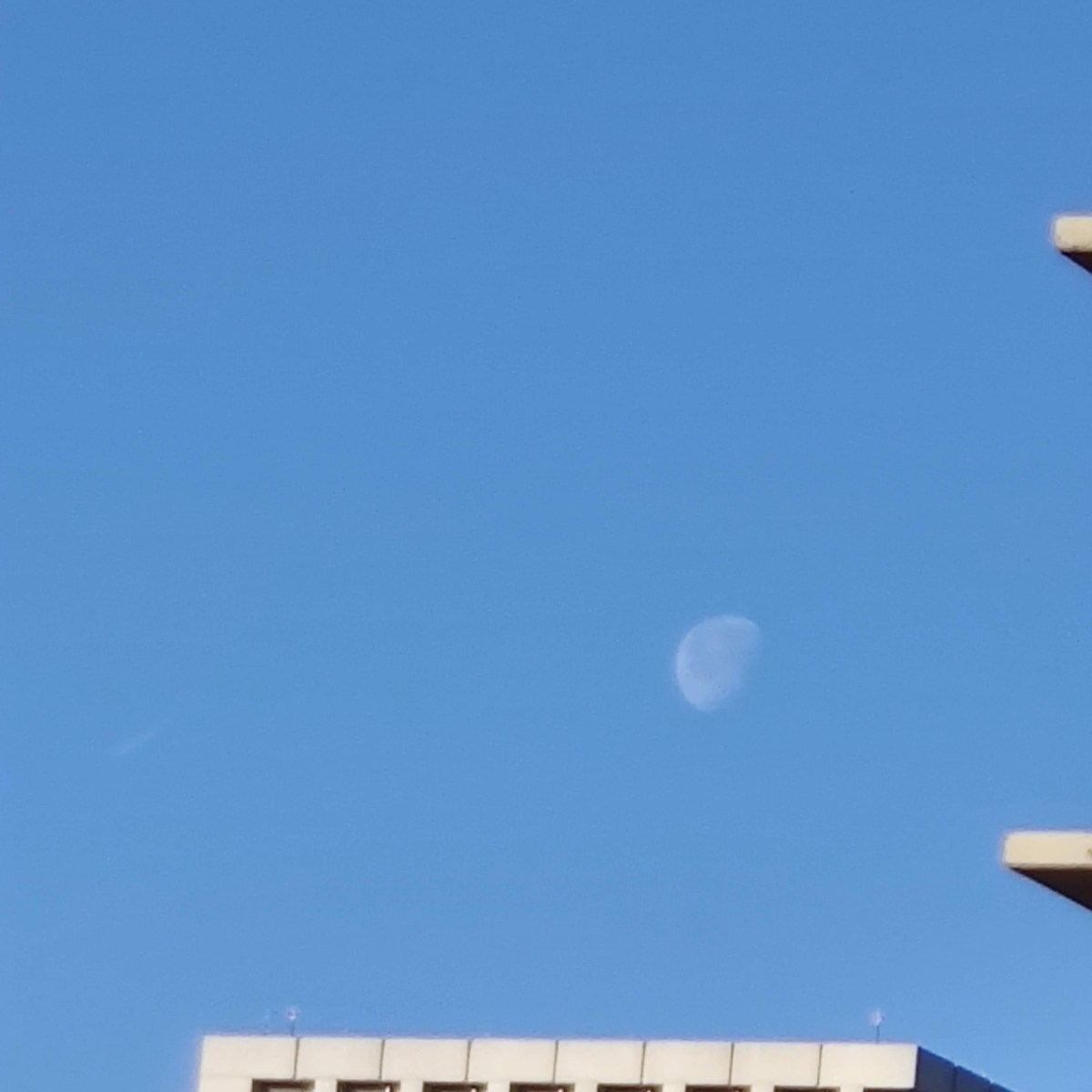 Israel Joffe, Roxy and an awesome&nbsp;sunrise