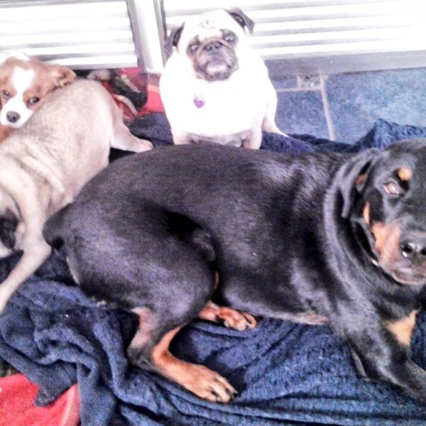 Once upon a&nbsp;time